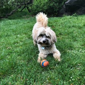 Meet your Posher, Gaby